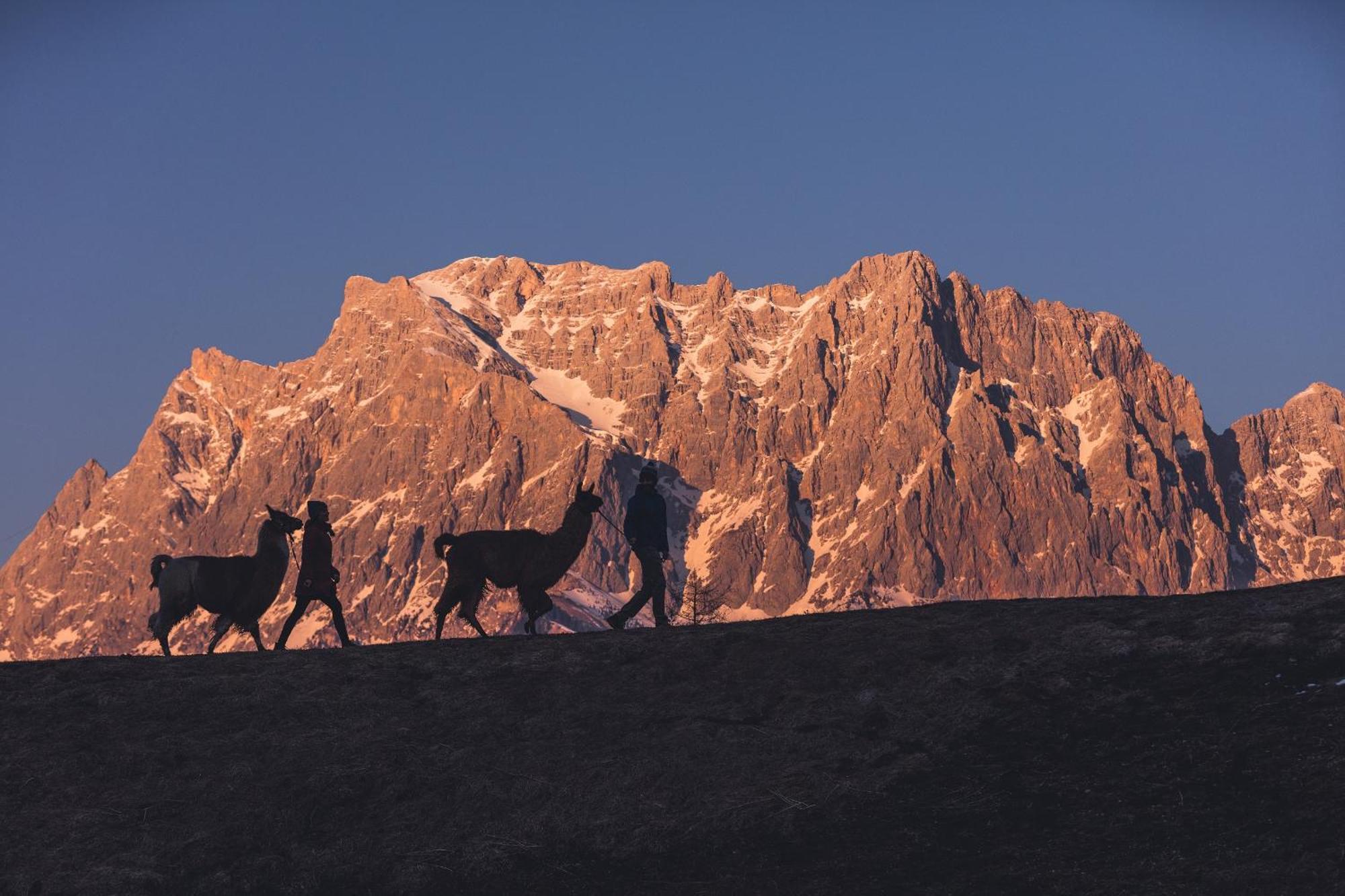 Appartement Gipfelblick- Tiroler Zugspitze Arena In ببيرفيير المظهر الخارجي الصورة